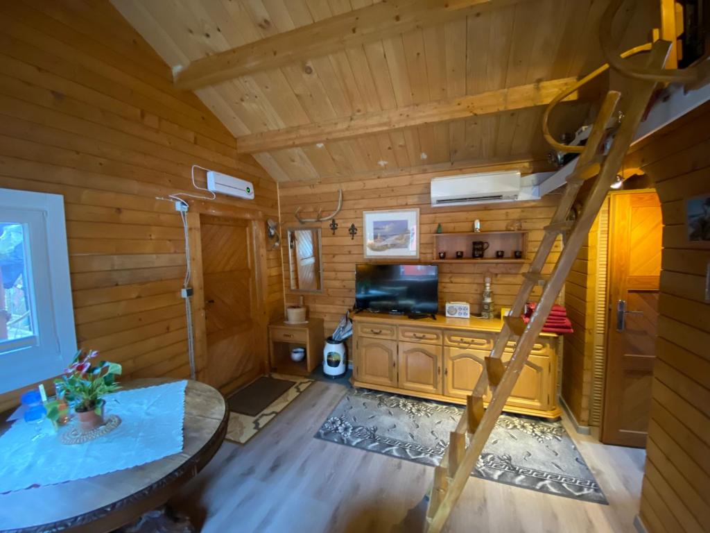 Kuchyň nebo kuchyňský kout v ubytování Schwalbennest