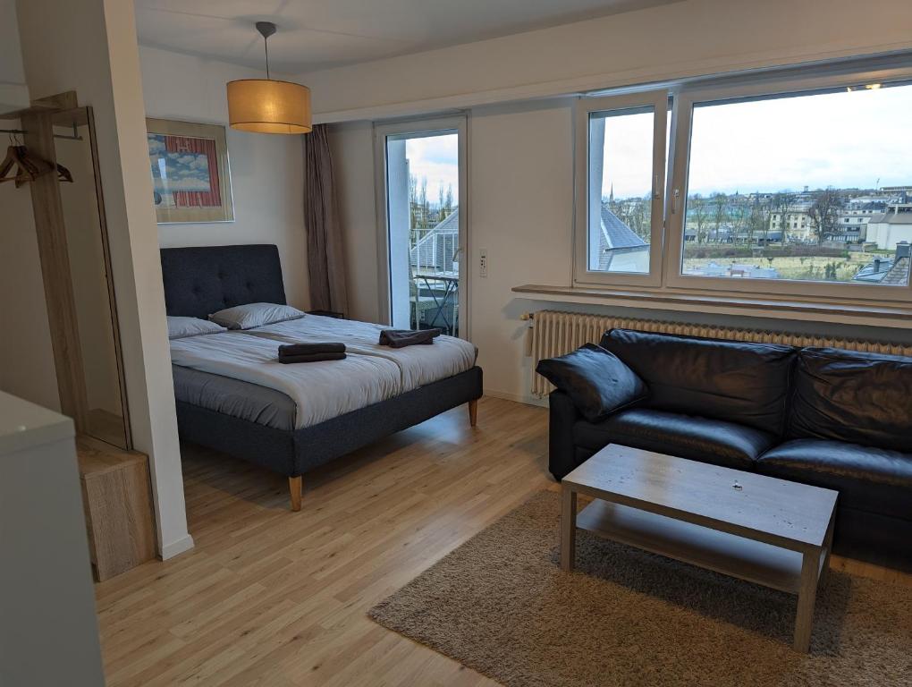 ein Wohnzimmer mit einem Bett und einem Sofa in der Unterkunft Top Floor Luxembourg City Studio with a Great View in Luxemburg (Stadt)