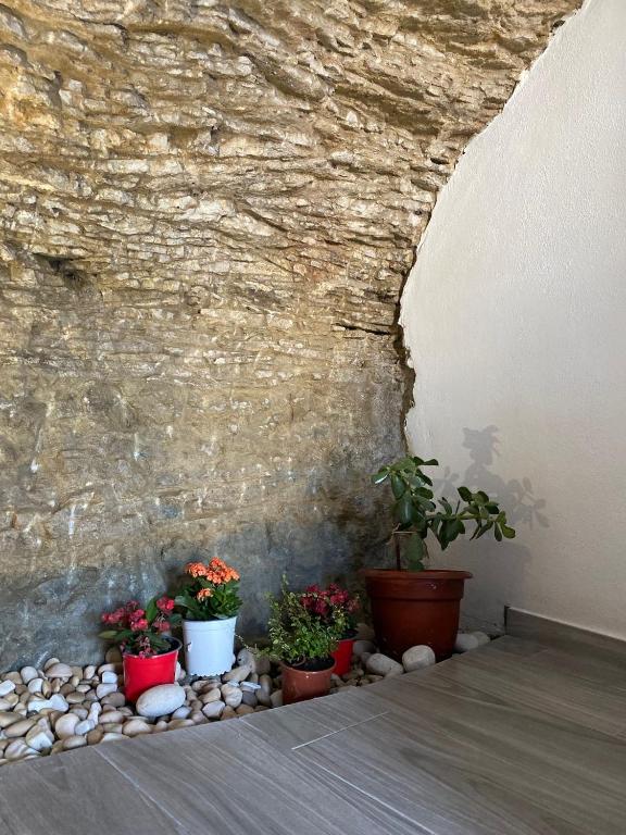 Casita en el Tajo - 13