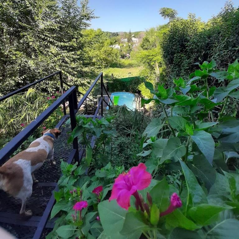 Zahrada ubytování Cabaña La Triada Pileta Privada Grupo Cabaña La Triada