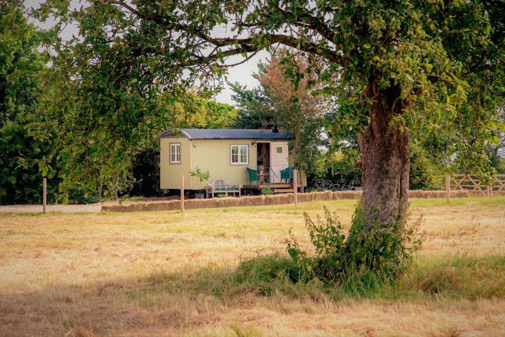 une petite maison dans un champ à côté d'un arbre dans l'établissement the abberton shepherds hut, à Evesham