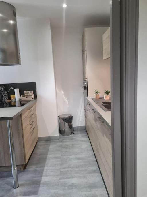 Kuchyňa alebo kuchynka v ubytovaní L'Ourse, Epinal,très bel appartement quartier Port