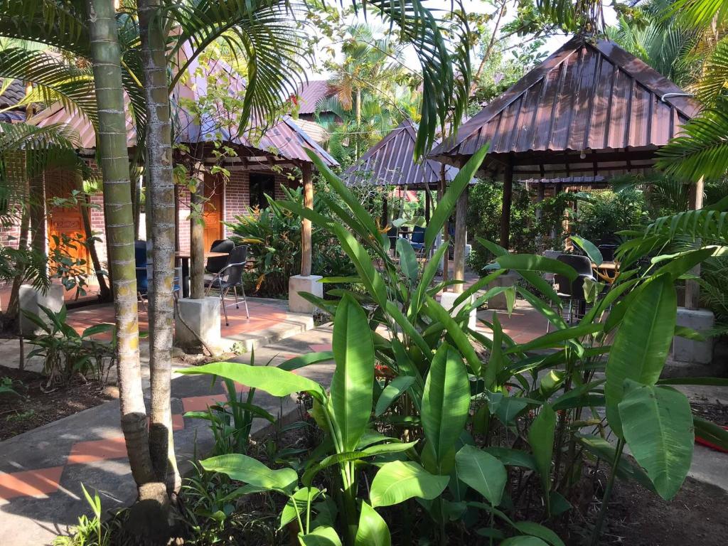a garden with a house with a palm tree at Captain Chim's Guest House in Kep
