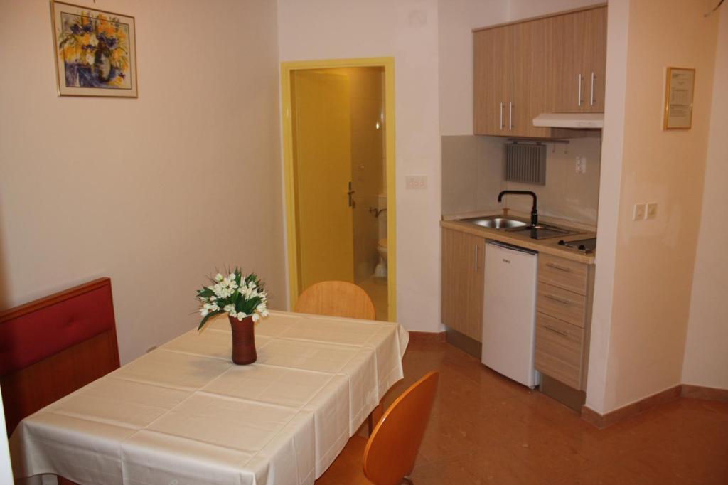 Kuchnia lub aneks kuchenny w obiekcie Apartments Tomato