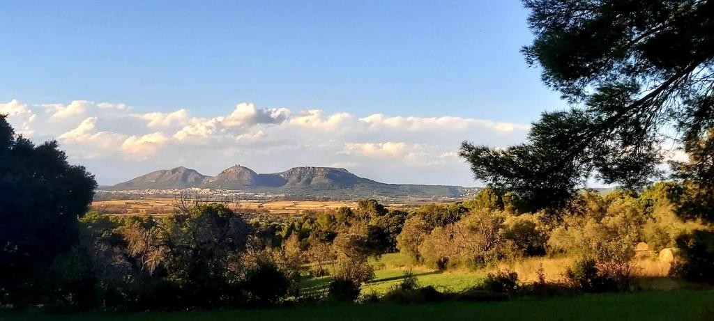 Príroda v okolí vily