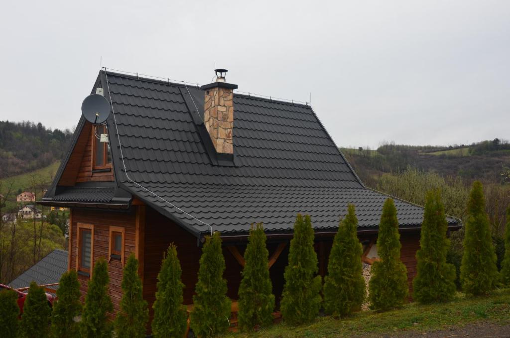 a house with a black roof and a bunch of trees at Domek Maja in Wołkowyja