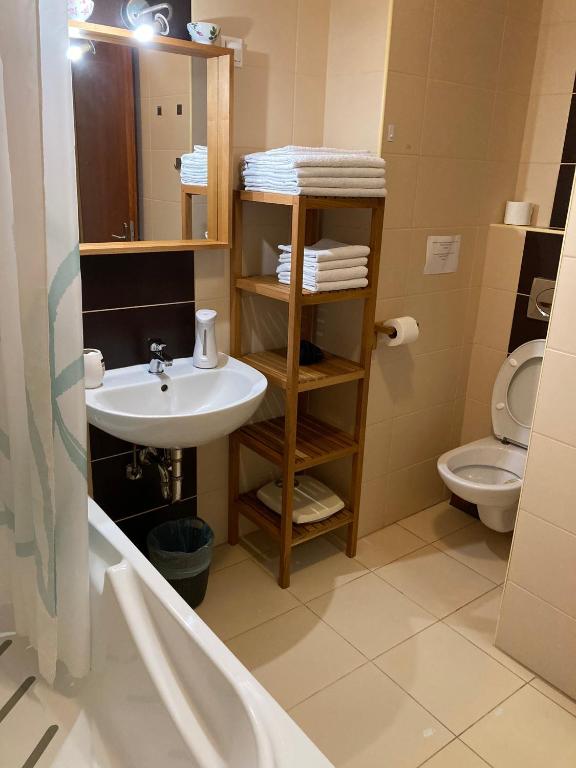 łazienka z umywalką i toaletą w obiekcie Germar Apartman w mieście Pecz