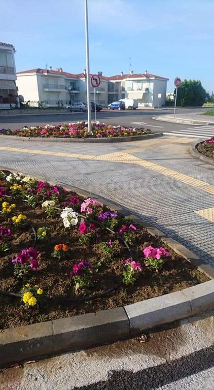 Zdjęcie z galerii obiektu райский уголок w mieście Nea Moudania