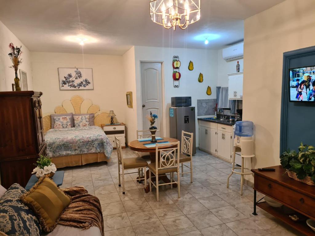 Η κουζίνα ή μικρή κουζίνα στο REGIA APARTMENT