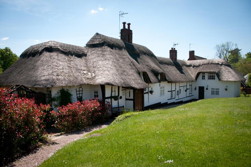 a row of houses with thatched roofs and flowers at Castle Hill Cottage on a Scheduled Monument in Kenilworth
