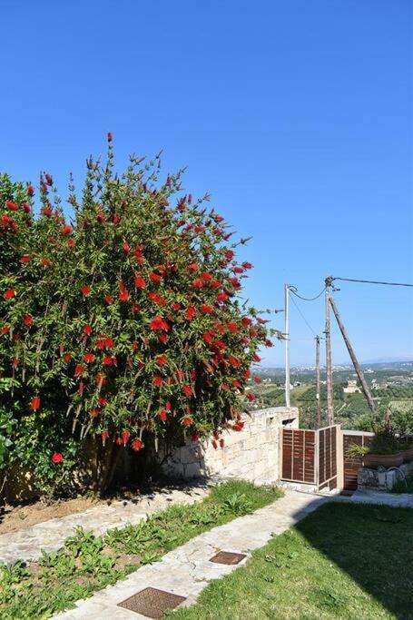 A garden outside Villa Αρμονία στη φύση