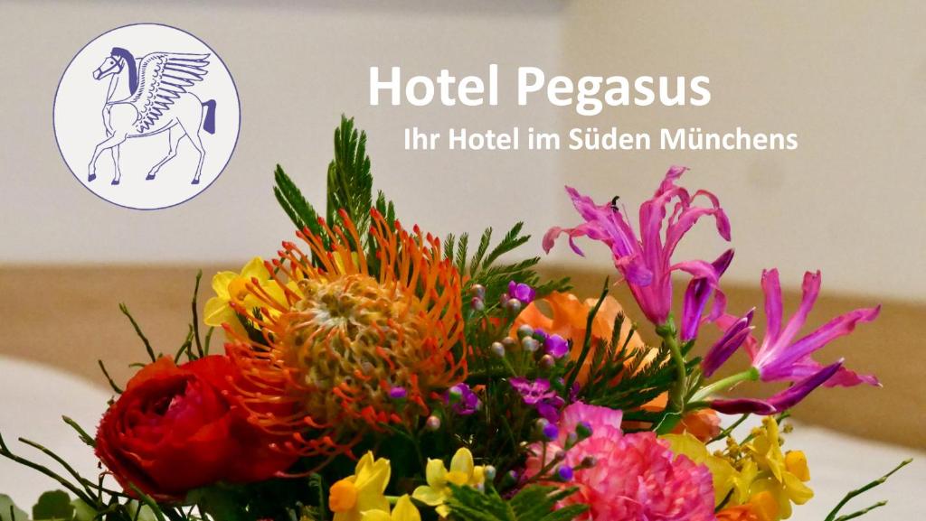 Hotel Pegasus - Resim 14