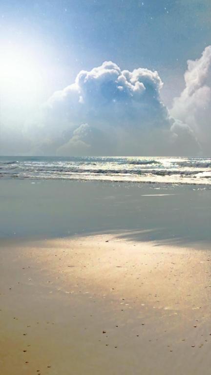une plage de sable avec l'océan et les nuages dans le ciel dans l'établissement T2, bord de plage et piscine, à Biscarrosse