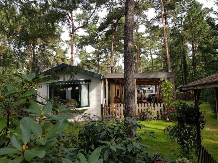 una piccola casa bianca in mezzo a una foresta di Mooi chalet met grote tuin op een 4 sterren park. a Doornspijk