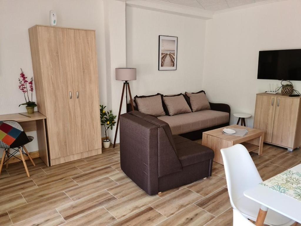 a living room with a couch and a tv at Apartment AS in Čanj