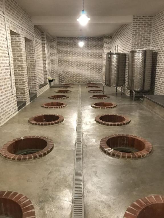 Fotografie z fotogalerie ubytování Begaso Family Winery v destinaci Kvareli