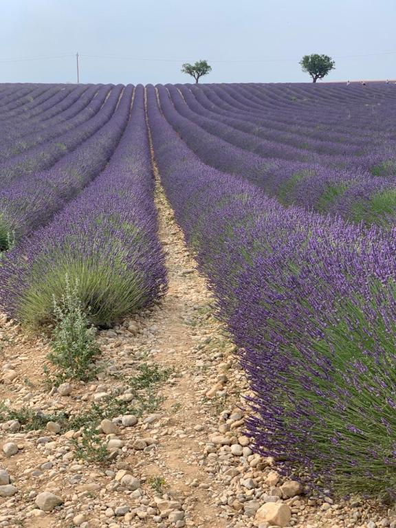 Studio Nuitée en Provence 2 - Resim 22