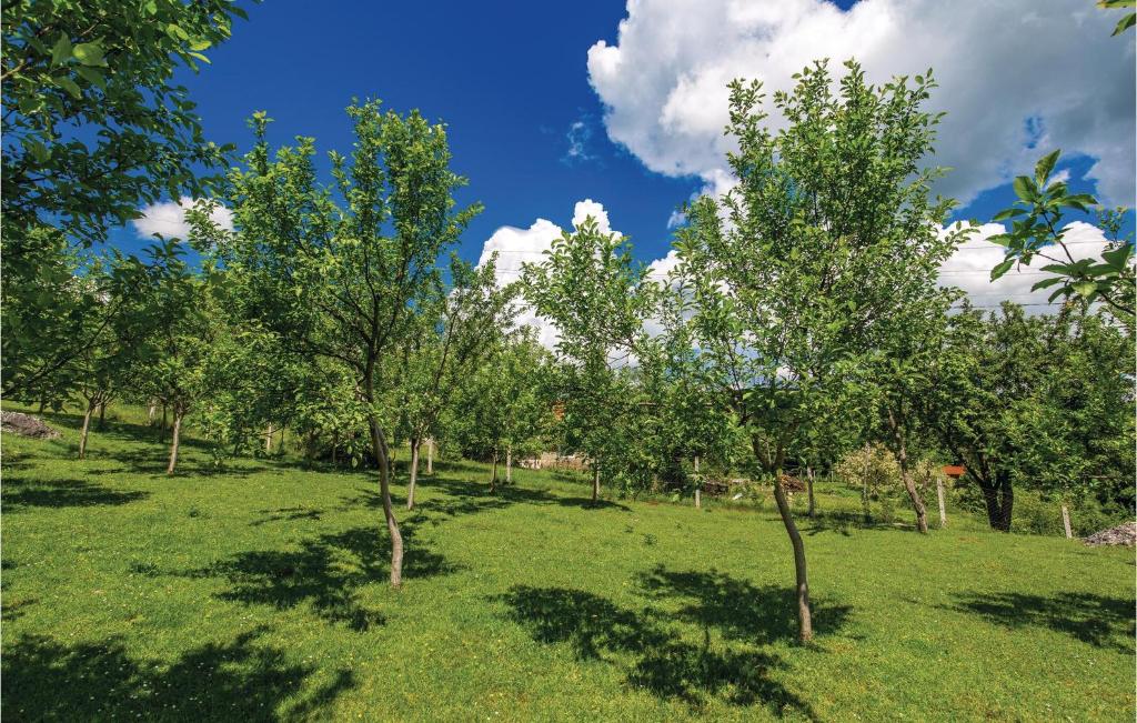 Vonkajšia záhrada v ubytovaní Two-Bedroom Holiday Home In Otocac