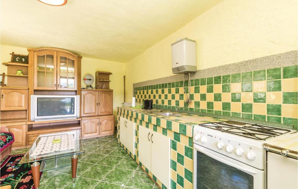 Kuchyňa alebo kuchynka v ubytovaní Two-Bedroom Holiday Home In Otocac