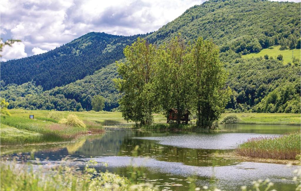 Príroda v okolí dovolenkového domu