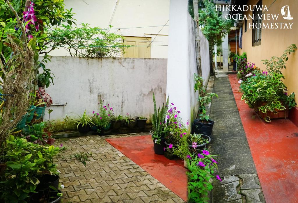 Zahrada ubytování Hikkaduwa Ocean View Homestay