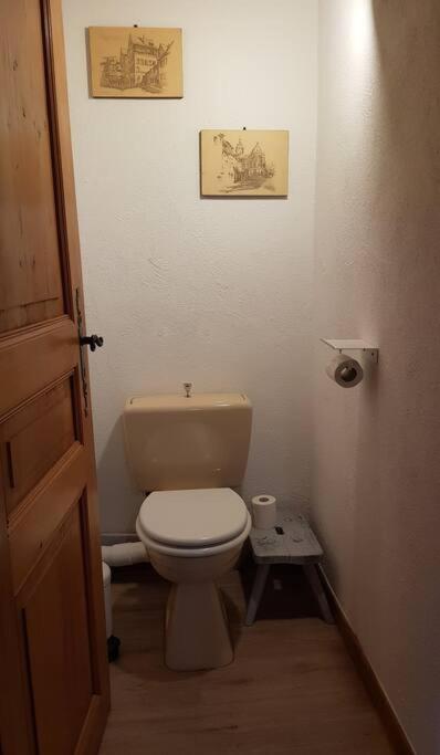 a bathroom with a toilet and a picture on the wall at Studio Marie-Rose in Ribeauvillé
