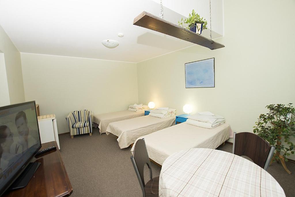 Drusva Apartamentai - Triple Room