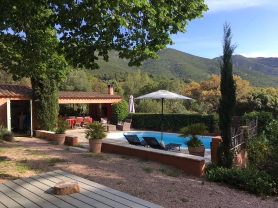un patio trasero con piscina y una casa en Gite dans le maquis avec piscine privée, en Peri