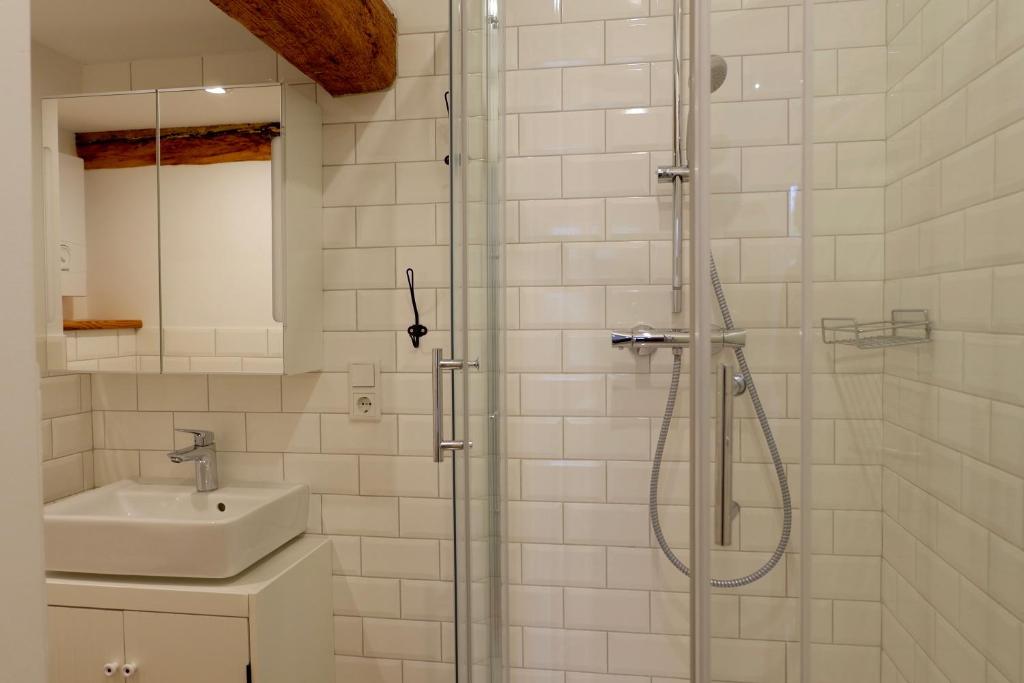 a bathroom with a sink and a shower at Gut Boltenhof in Fürstenberg
