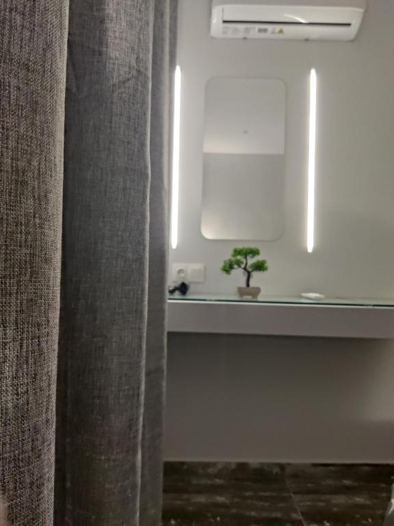 uma casa de banho com um lavatório e uma planta num quarto em Chalkida Hilltop Apartments em Chalkida
