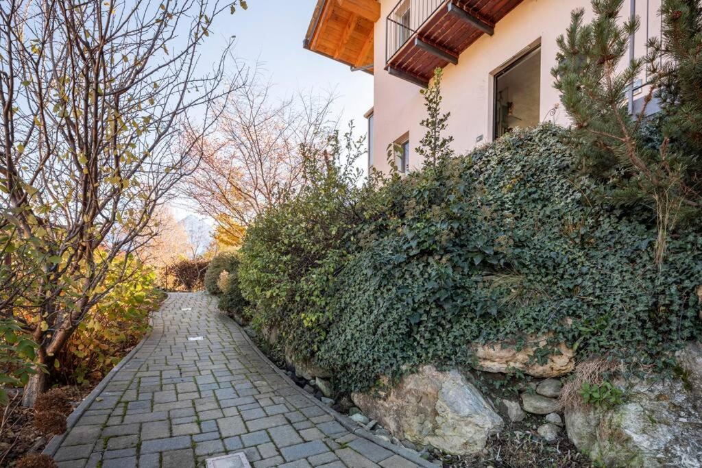 Zahrada ubytování B&B Ambrosia