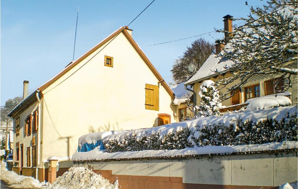 une maison avec de la neige sur le toit dans l'établissement Pet Friendly Home In Natzwiller With Kitchen, à Natzwiller
