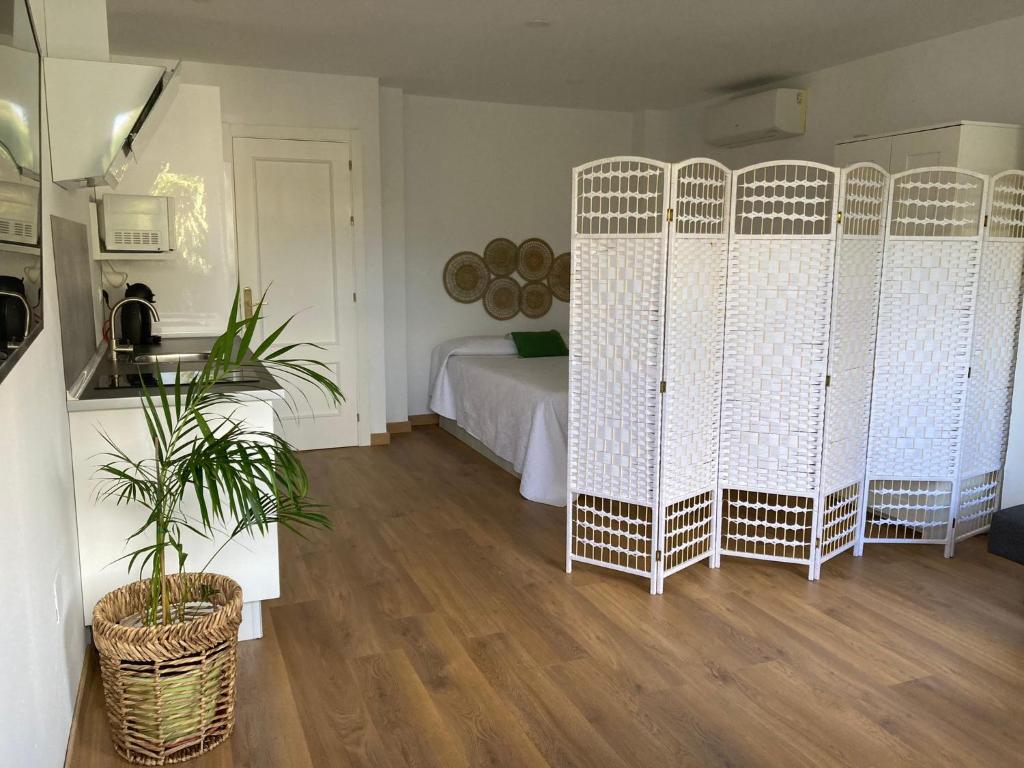 um quarto com uma cama com divisórias brancas em Estudio Pedregalejo Garden Málaga em Málaga