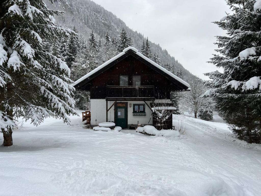 a small cabin in the snow with trees at Kleine Ahornau in Schladming