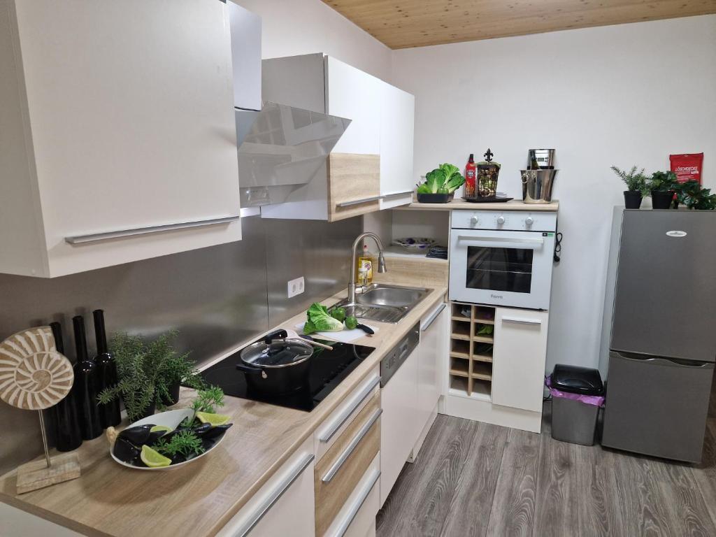 Kuchyň nebo kuchyňský kout v ubytování Apartment St. Pölten