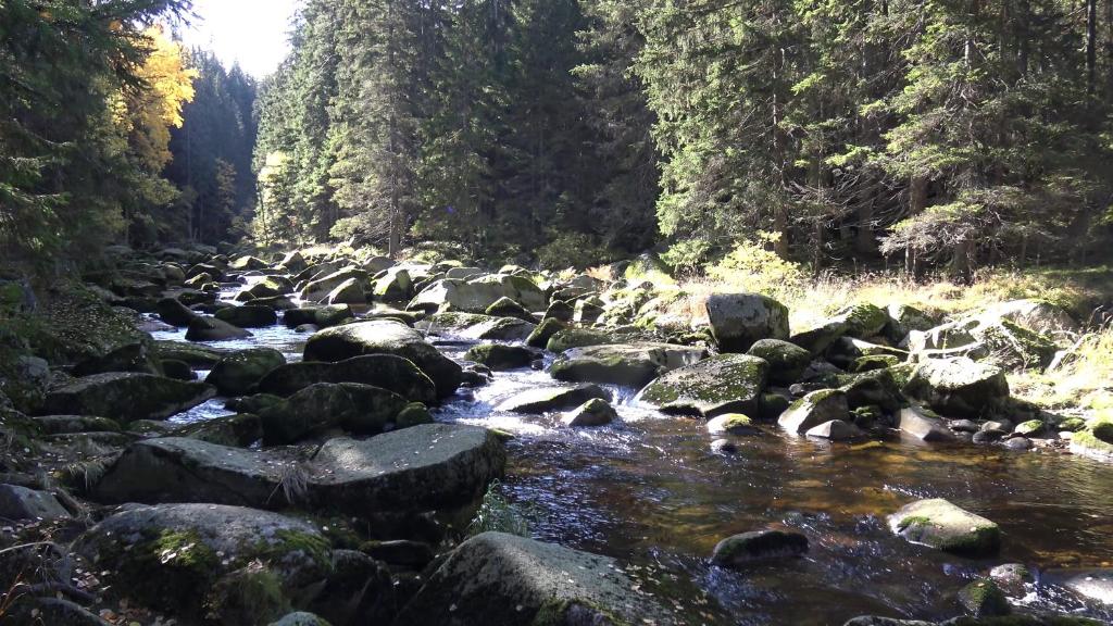Příroda nedaleko apartmánu