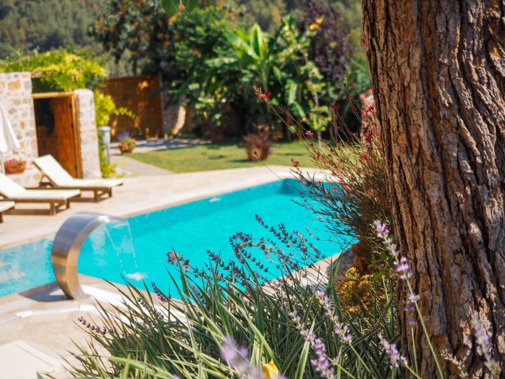 Kép Apsara Villa & Suites szállásáról Kayaköyben a galériában