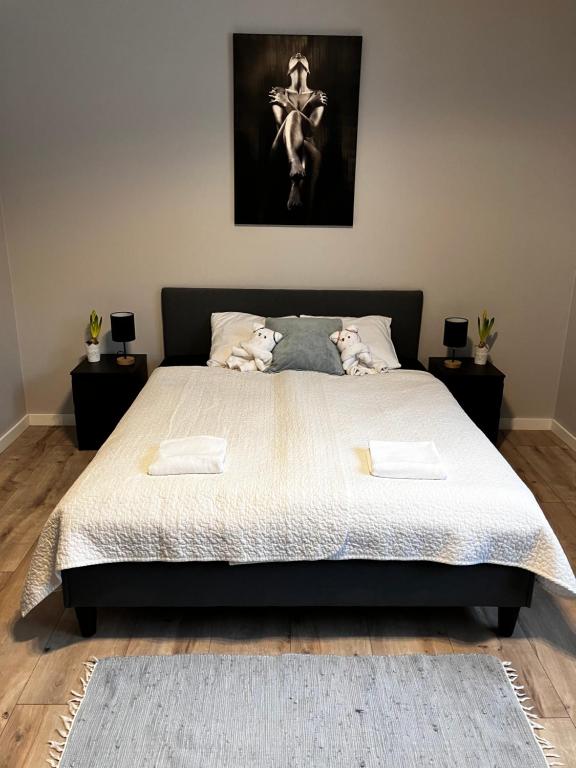 Posteľ alebo postele v izbe v ubytovaní Apartamenty Czarna Perła