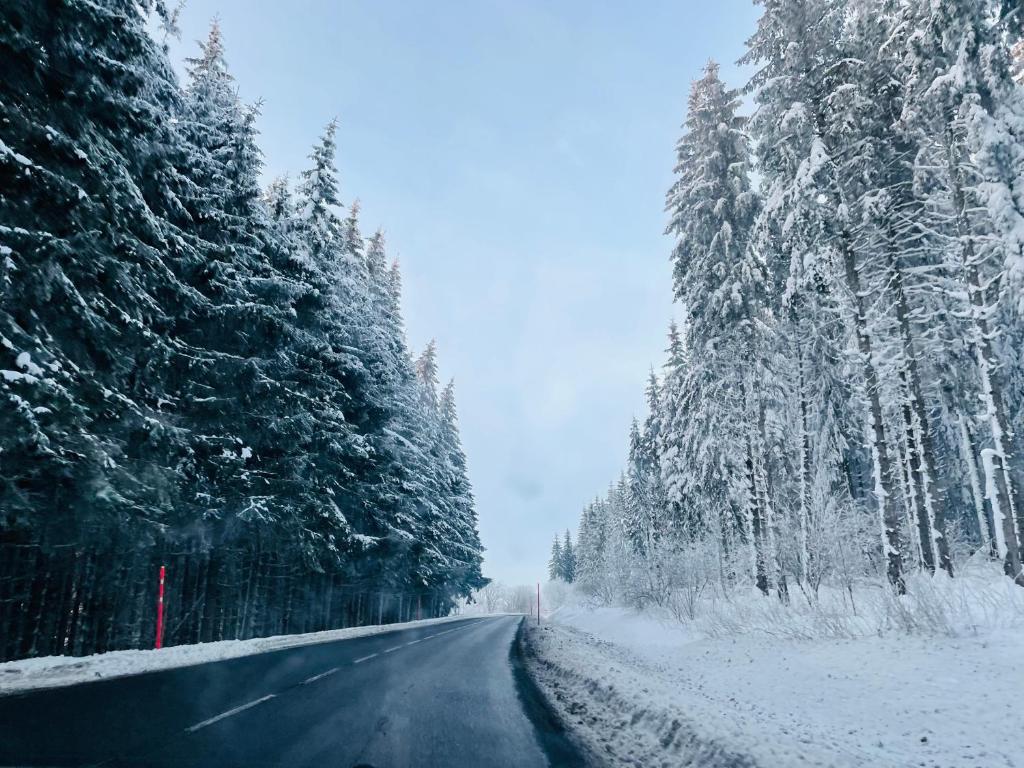 Obiekt Le 77 - chalet nature proche S.Besse zimą