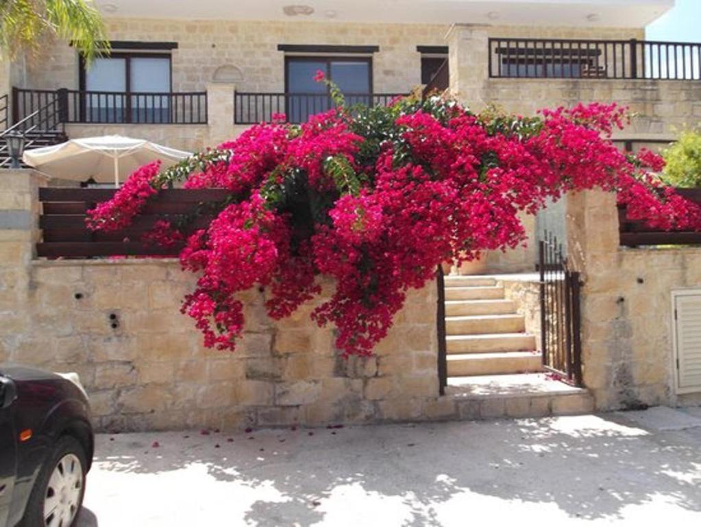 un montón de flores rosas colgando de un edificio en Idyllic 3 Bed Villa with Stunning Views, en Pafos