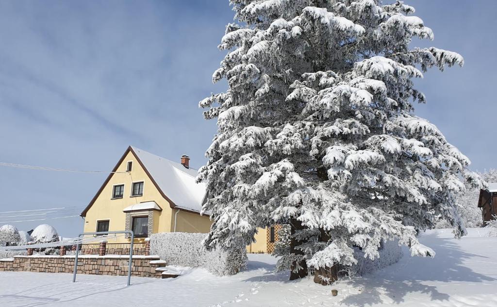 Το Ferienhaus Bringfriede τον χειμώνα