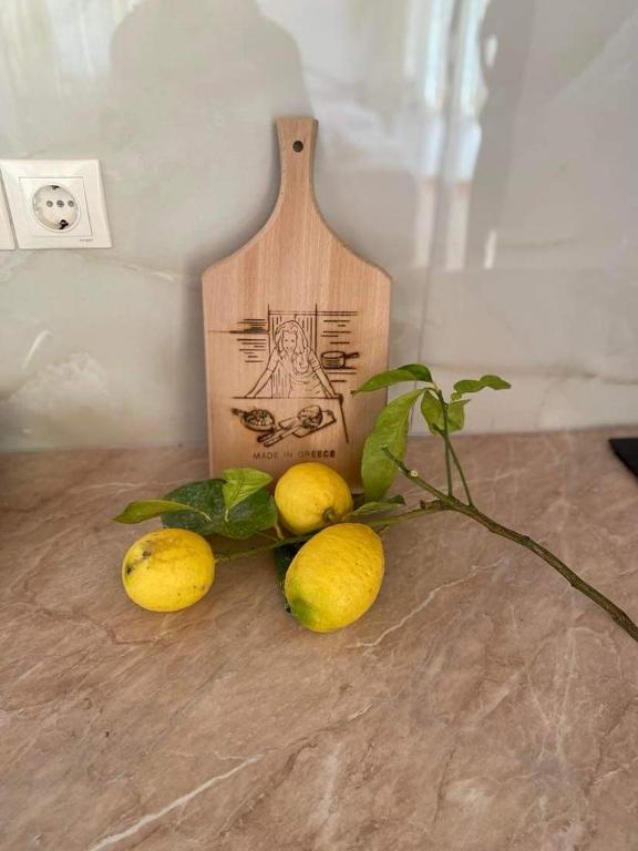 Thanasis studio - Image 9