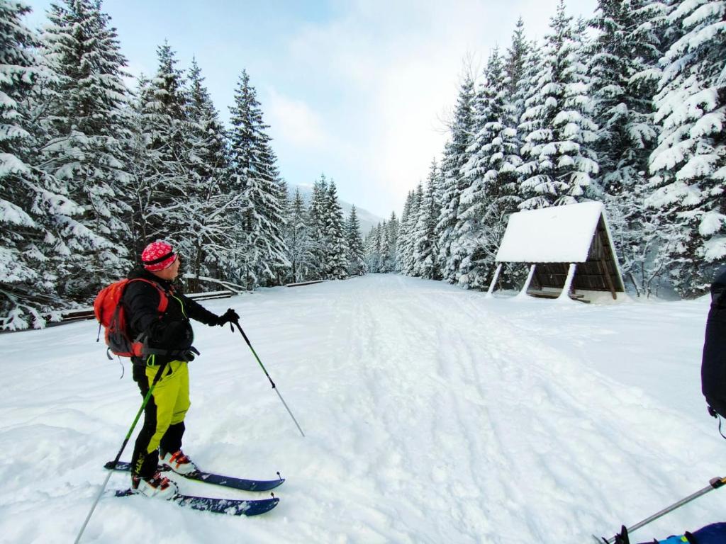 a person on skis in the snow near trees at Apartmány Grobarčík in Zuberec