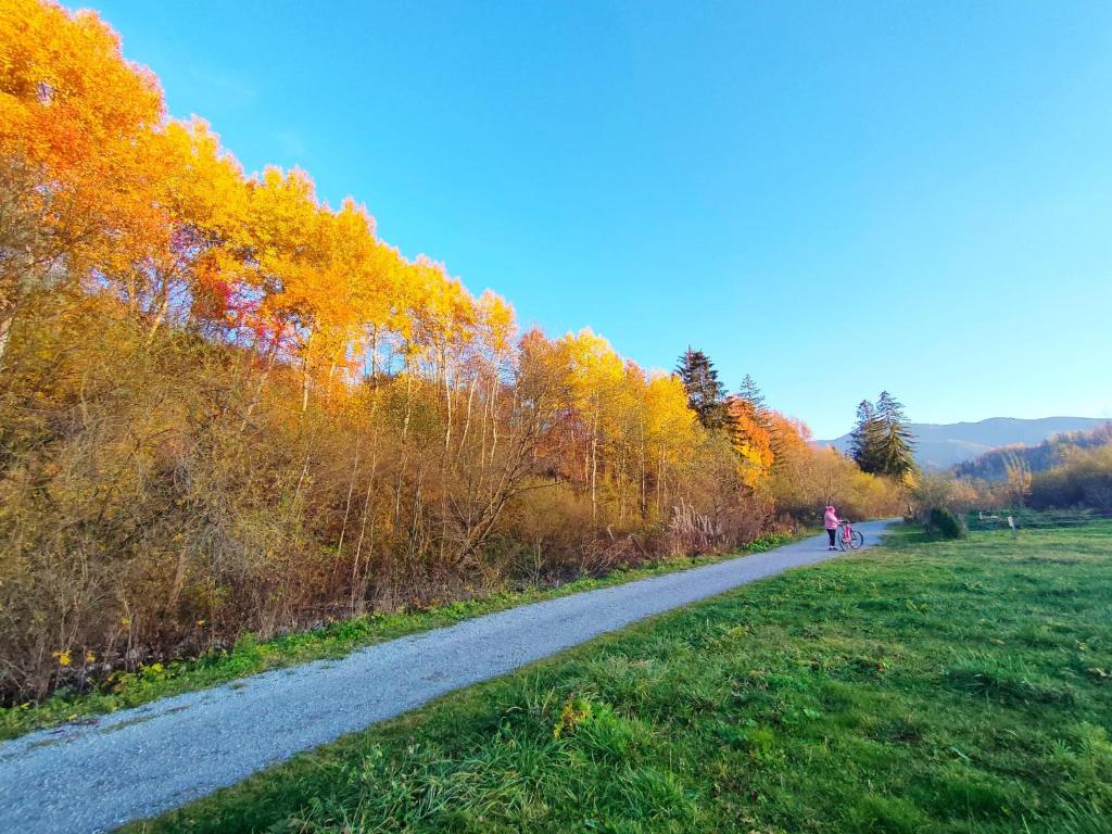 a person riding a bike down a gravel road at Apartmány Grobarčík in Zuberec