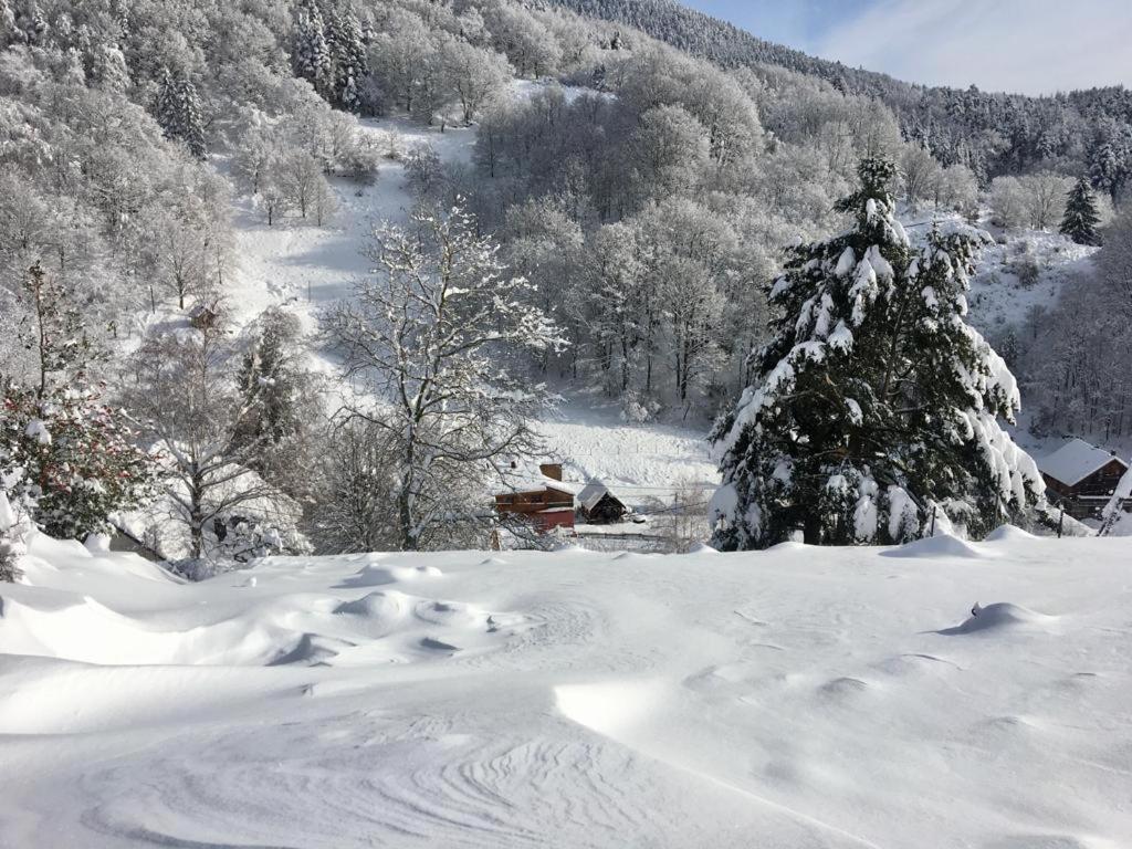 Escapade Nature RIBEAUVILLE 6 personnes – photo 15