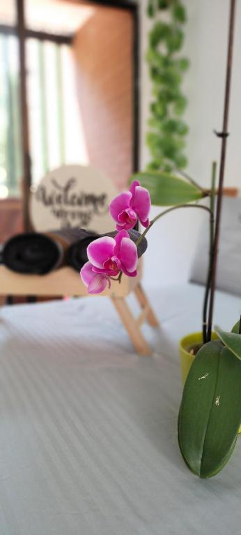 une fleur violette assise sur une table à côté d'une plante dans l'établissement Moradia Laureles Medellin, à Medellín