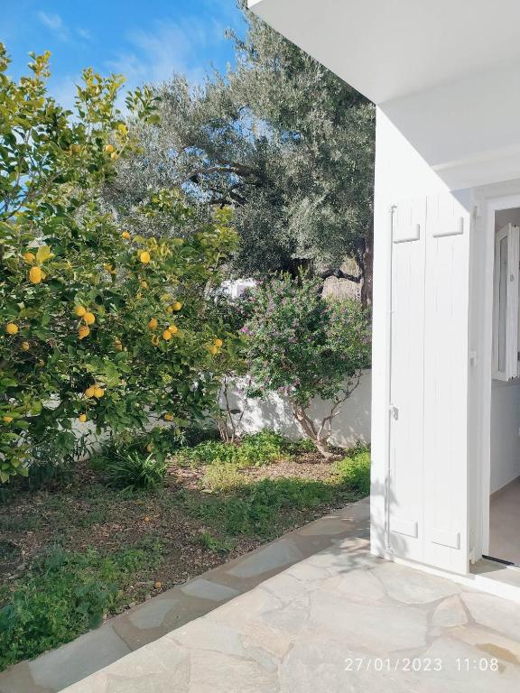 Zahrada ubytování George's Seaside Apartments Sifnos