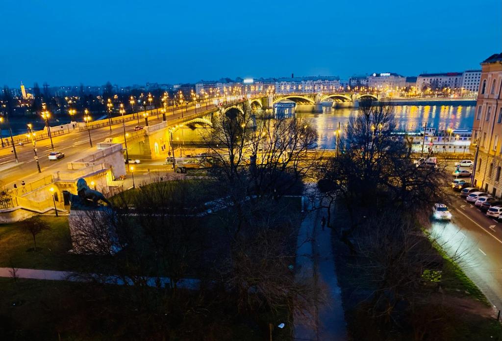 布達佩斯的住宿－Danube Panorama apartments，享有城市的夜间美景,设有一座桥