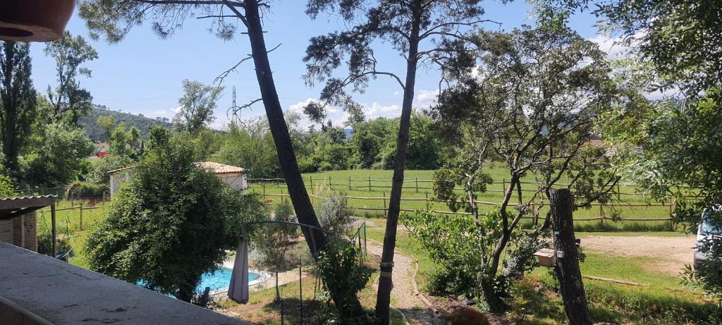 Blick auf einen Garten mit einem Teich und Bäumen in der Unterkunft Chez Franck in Saint-Martin-de-Valgalgues