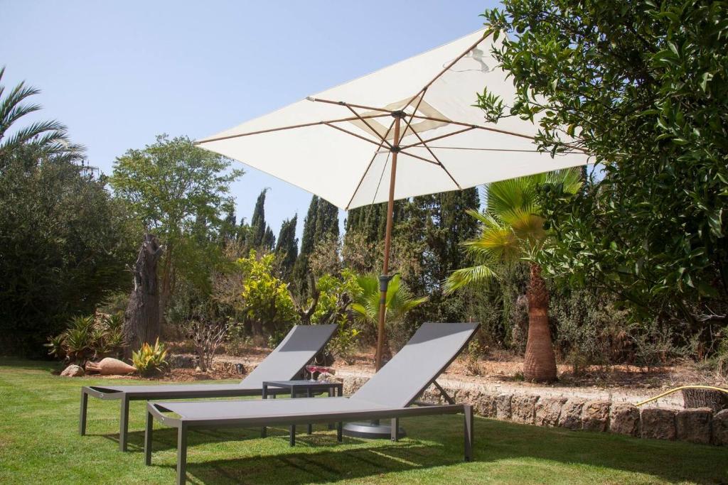Zahrada ubytování Son Jordi nou, beautiful villa near Alaro big swimming pool, BBQ mountain views 12people
